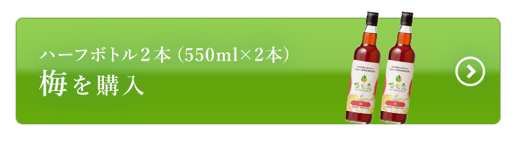 ハーフボトル梅2本