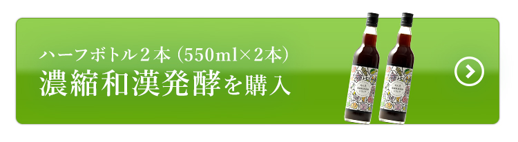 ハーフボトル濃縮和漢発酵2本