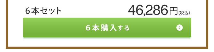 レギュラーボトル6本セット46,286円